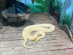 -石家庄市动物园