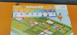 -前小桔亲子创意农场·草莓采摘·露营烧烤