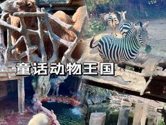 -长鹿旅游休博园