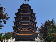 -铁山坪森林公园