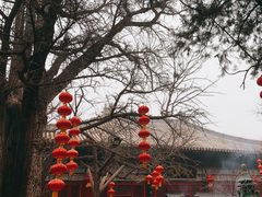 -红螺寺