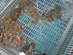 -兆辉木炭海鲜烧烤·海鲜小炒