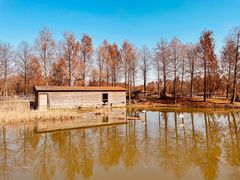 -宁波杭州湾国家湿地公园