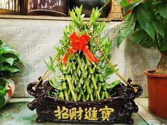 -双季花艺园艺市场(浦东店)