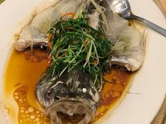 -汕头金乐大酒店(万象城龙眼南路美食街店 )