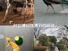 -武汉园博园(武汉自然博物馆)
