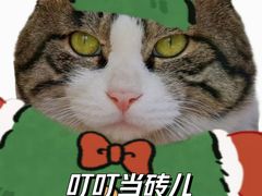 -老北京赵记酱肘子