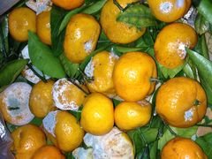 -江杨农产品批发市场