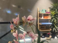 -施奈儿.洗头頭療.按摩SPA.采耳(上梅林店)