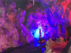 -陶祖圣境风景区