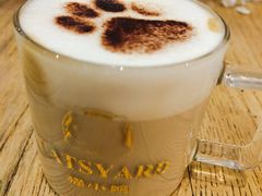 -猫小院猫主题餐厅(南锣旗舰店)