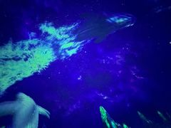 -济南方特东方神画