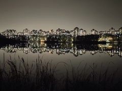-马家湾湿地公园