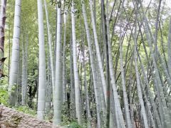 -杭州黄龙洞