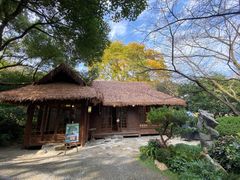 -中国茶叶博物馆(双峰馆区)