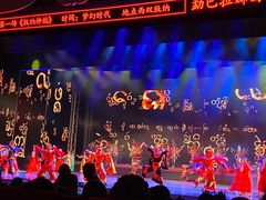 -西双版纳原始森林公园