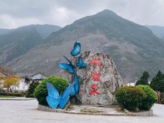 -蝴蝶泉公园