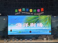 -泉城欧乐堡海洋极地世界
