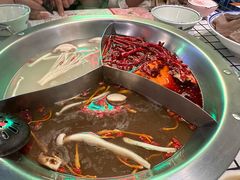 -山悦里 山野·鲜火锅(罗斯福广场店)