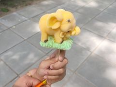 -秦皇岛野生动物园