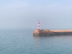 -秦晋味道脆皮肉夹馍(金茂湾店)