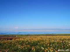 -青海湖国家重点风景名胜区