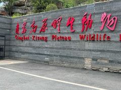 -青藏高原野生动物园