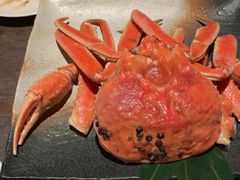 -橼舍鮨青木