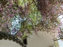 -深圳国际园林花卉博览园