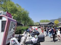 -北京植物园南门售票处