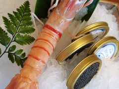 -Mr.Fish鱼鲜生海鲜放题(高德置地冬广场店)