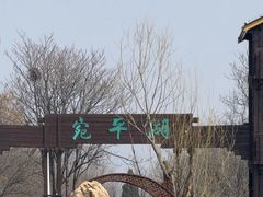-绿堤公园