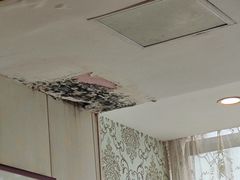 -黄家饺子东北特色菜馆(湖滨商业街店)