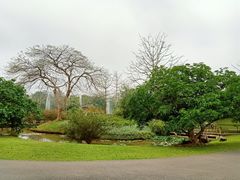 -中国科学院西双版纳热带植物园