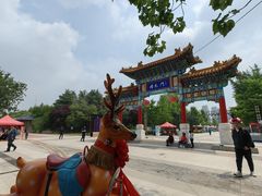 -曹州牡丹园