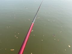 -焦岗湖旅游度假区