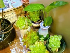 -街角 T·COFFEE 融合料理·BISTRO(车公庙店)