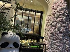 -溪岸路花鸟市场