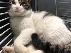 -UNIUNI(凯瑟琳广场店)