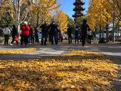 -龙华素斋(龙华路店)