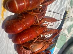 -山海•蒸汽活海鲜自助(皇庭广场店)