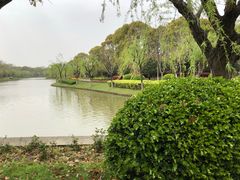 -上海鲜花港