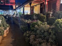 -山菌美食苑(振兴路店)