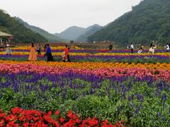 -广州市石门国家森林公园