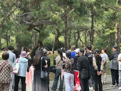 -北陵公园