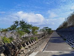 -上海滨江森林公园