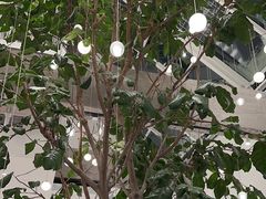 -大树餐厅(红旗街万达店)