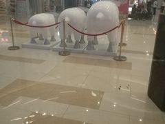 -洪氏嗨捞·广东猪肚鸡·椰子鸡火锅(西咸万象城店)