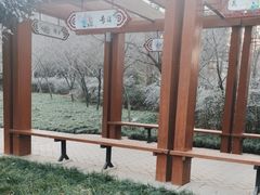 -木塔寺遗址生态公园