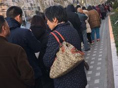 -同济大学附属口腔医院